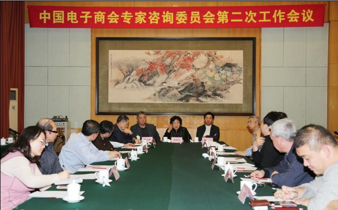 中国电子商会专家咨询委员会第二次工作会议