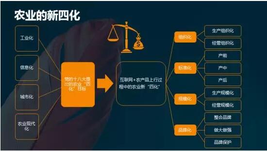 智慧三农丨百诚源CEO杜非：农产品的三级定位