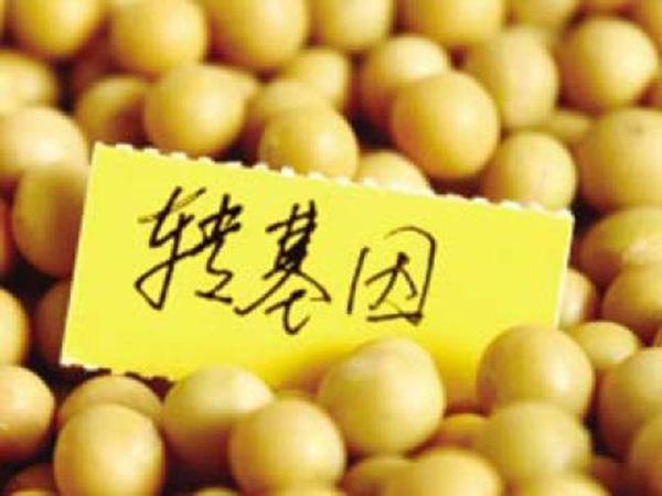 转基因话题常被“带节奏”，非理性的反转闹剧何时休？