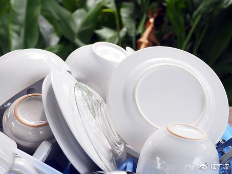 撕下“舶来品”标签，中国洗碗机市场渐入佳境