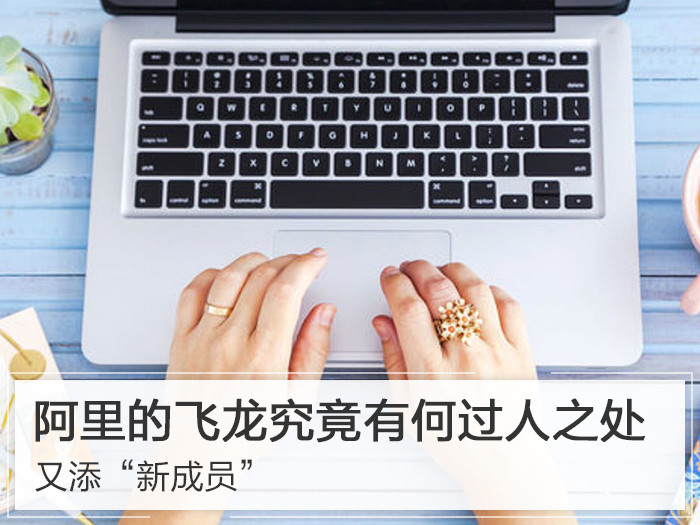 又添“新成员” 阿里的飞龙究竟有何过人之处