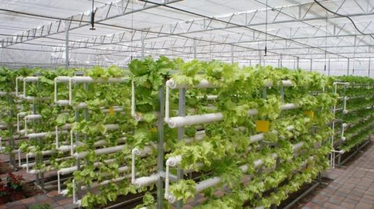华为借力袁隆平加入农业科技新蓝海