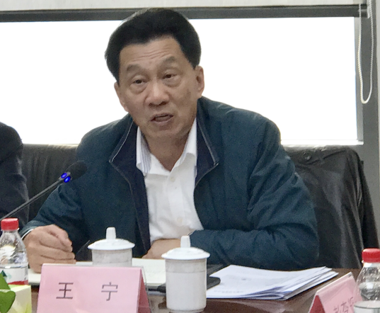 王宁：发挥平台力量 推动商会经营工作跨越式发展