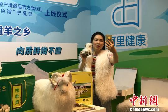 宁夏和阿里巴巴合作打造农产品特色馆上线运营