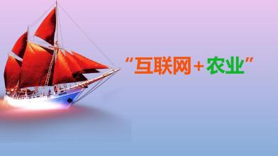 “互联网+农业”跨界融合