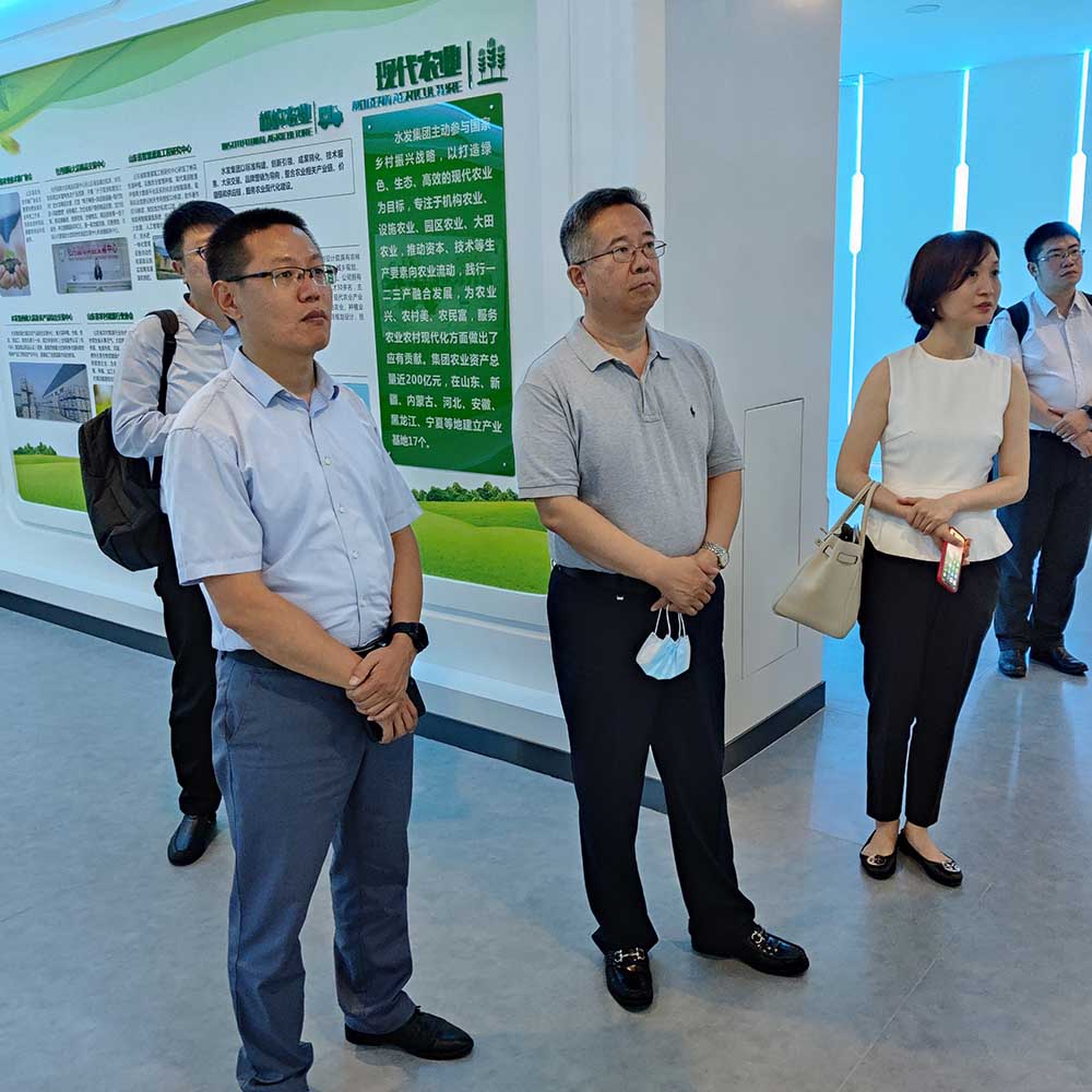 郭全啟与水发集团就有关业务合作进行研讨
