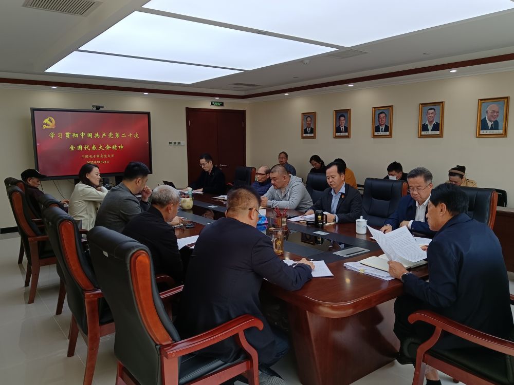 中国电子商会党支部组织学习党的二十大报告