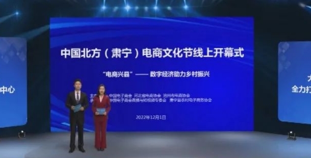 中国北方（肃宁）电商文化节开幕